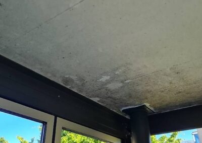 Schimmelentfernung im Wintergarten